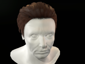 hair cards mans Model 3D