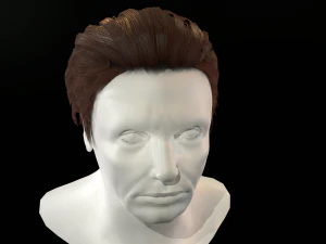 hair cards mans 3D Model