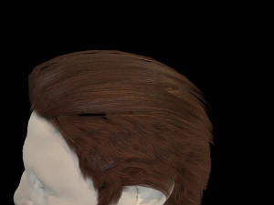 hair cards mans 3D Model