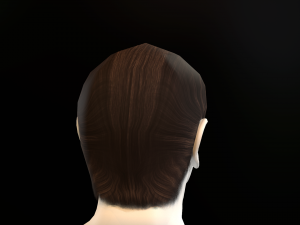 hair cards mans Model 3D