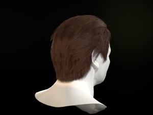 hair cards mans Model 3D
