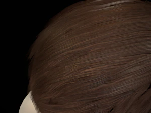 hair cards mans 3D Model