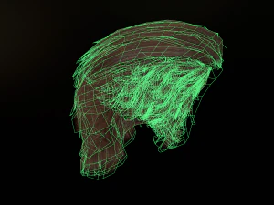 hair cards mans 3D Model