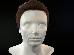 hair cards mans Model 3D