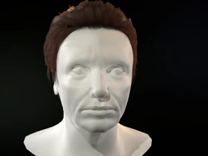 hair cards mans 3D Model