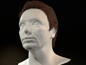 hair cards mans 3D Model