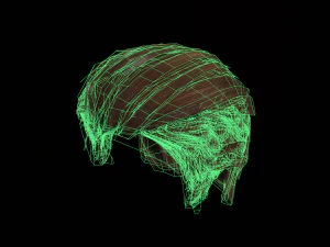 hair cards mans 3D Model