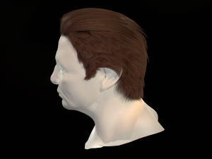 hair cards mans Model 3D