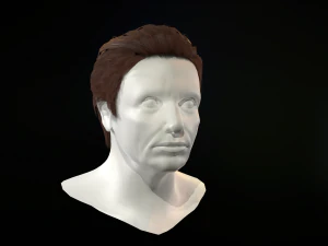 hair cards mans 3D Model