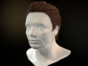 hair cards mans Model 3D
