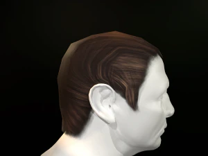hair cards mans 3D Model