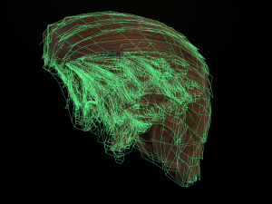 hair cards mans Model 3D