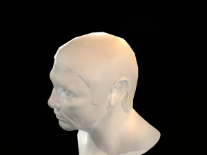hair cards mans Model 3D