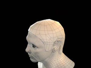 hair cards mans 3D Model
