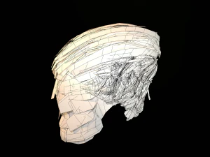 hair cards mans 3D Model