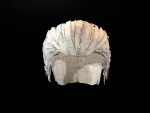 hair cards mans Model 3D