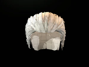 hair cards mans 3D Model
