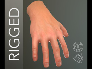 male hand rigged Model 3D