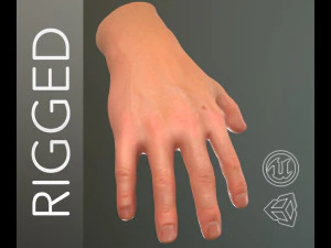 mano masculina ama&ntilde;ada Modelo 3D