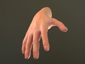 male hand rigged 3D Model