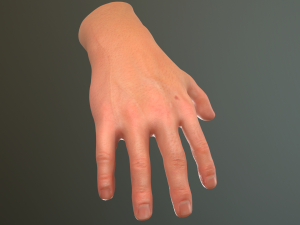 male hand rigged Modelo 3D