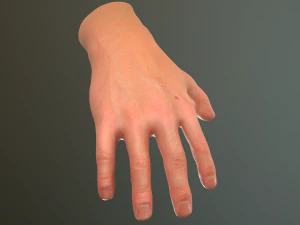 male hand rigged 3D Model