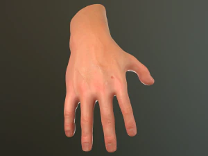 male hand rigged 3D Model