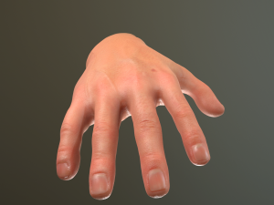 male hand rigged Modelo 3D