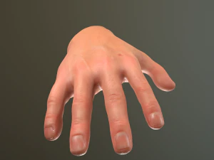 male hand rigged 3D Model