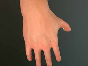 male hand rigged Modelo 3D