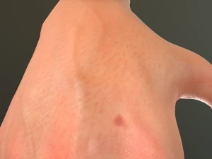 male hand rigged 3D Model
