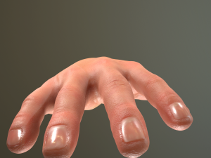male hand rigged Modelo 3D