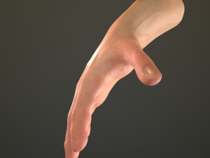 male hand rigged Modelo 3D