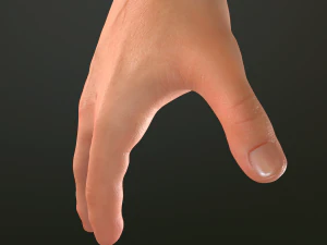 male hand rigged 3D Model