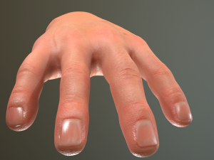 male hand rigged Modelo 3D