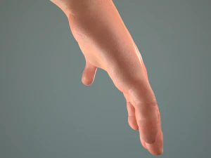 male hand rigged 3D Model