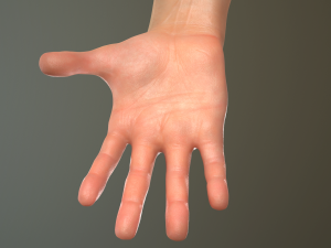 male hand rigged Modelo 3D