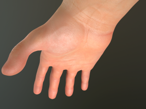 male hand rigged Modelo 3D