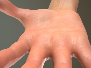 male hand rigged Modelo 3D