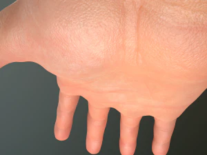 male hand rigged 3D Model