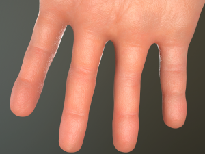 male hand rigged Modelo 3D