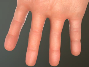 male hand rigged 3D Model