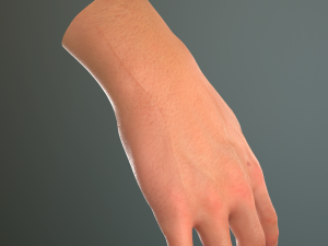 male hand rigged Modelo 3D