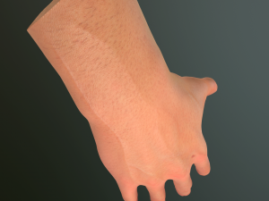 male hand rigged Modelo 3D