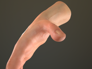male hand rigged Modelo 3D