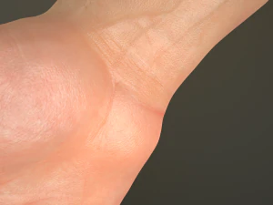 male hand rigged 3D Model