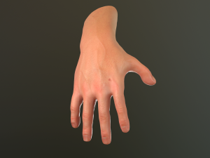 male hand rigged Modelo 3D