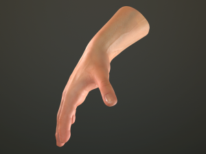 male hand rigged Modelo 3D