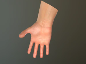male hand rigged 3D Model