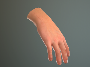 male hand rigged Modelo 3D